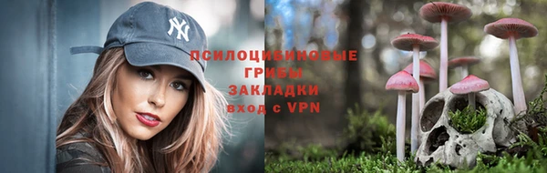 прущая мука Волоколамск