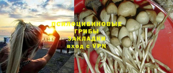 прущая мука Волоколамск