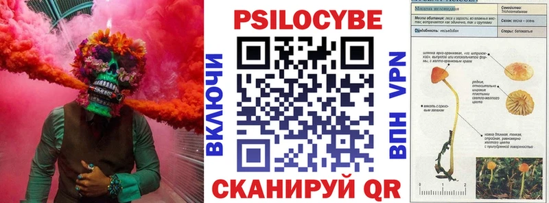 Галлюциногенные грибы мицелий  кракен зеркало  Чистополь 